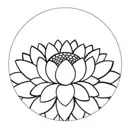 Lotus 2e Hands