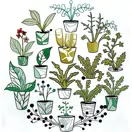 Plantenasiel Leiden