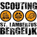 Vlooienmarkt Scouting Bergeijk
