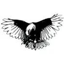 Logo When The Eagle Learns To Fly