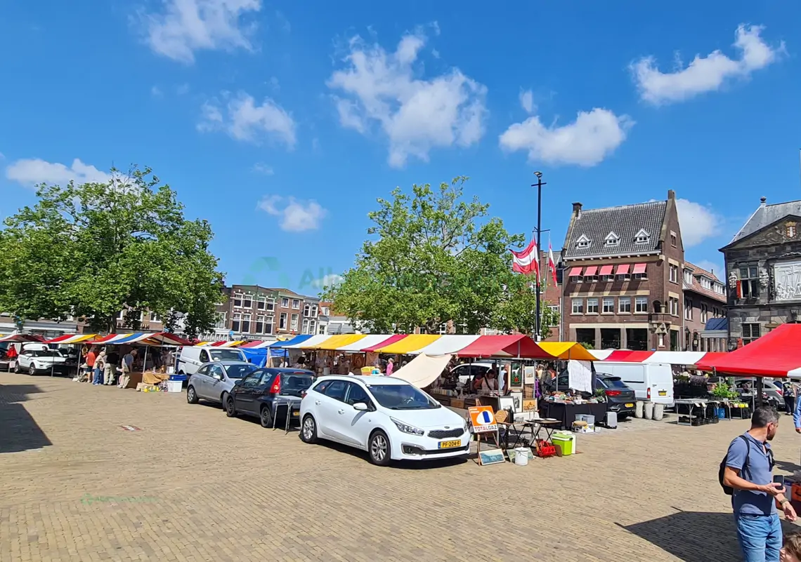 Gouda Curiosa