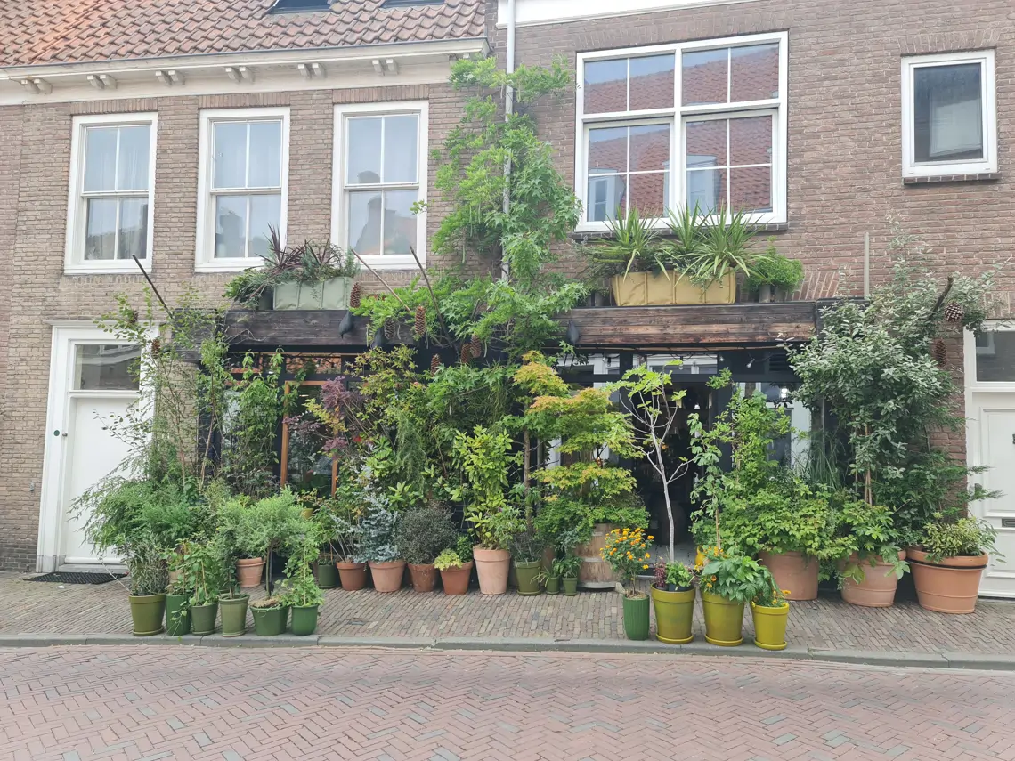Plantaardig