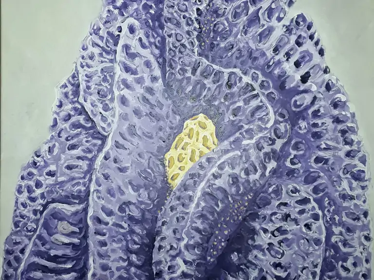 Allerlei / Galerie Artaban - Bellingwolde
