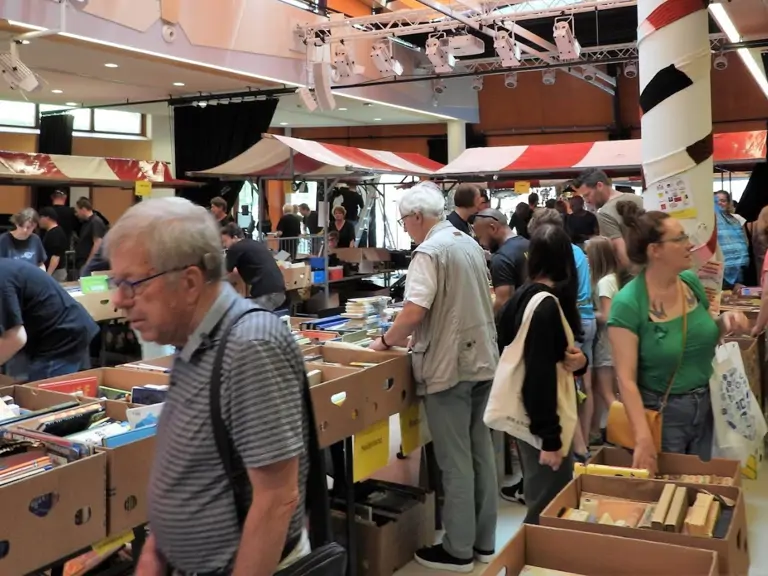 Grote Gestelse Vlooienmarkt - Sint Michielsgestel