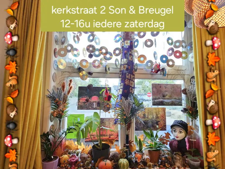Hedwigs Inloopwinkel - Son en Breugel