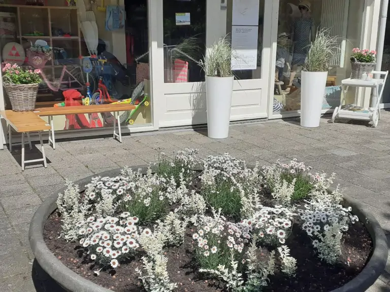 Kringwinkel Hebbes - Hendrik-Ido-Ambacht