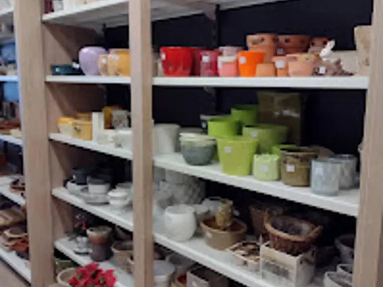 Kringwinkel Liedekerke