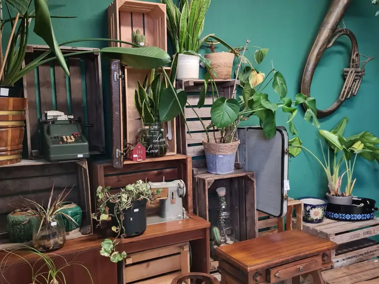 Schatkamer & Co - Ommen