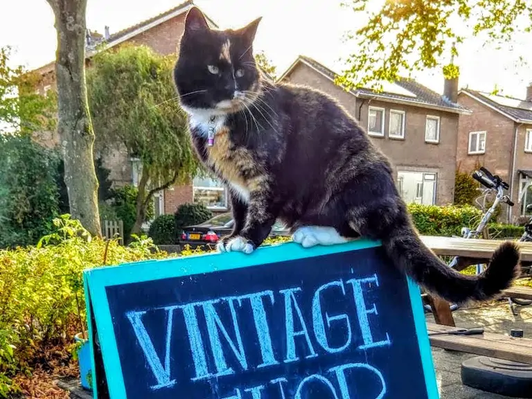 Vintageshop 2Thepoint - Leeuwarden