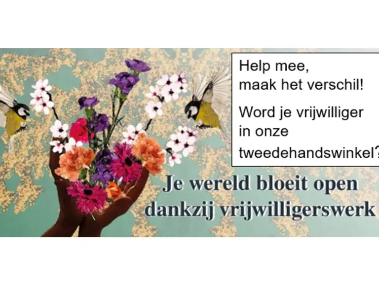 Zuiderlicht Tweedehands VZW - Genk