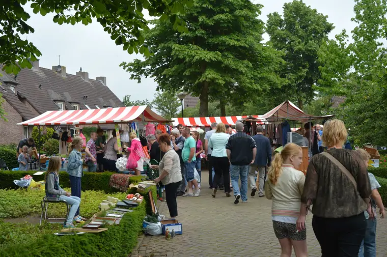 De Haag op Stelten
