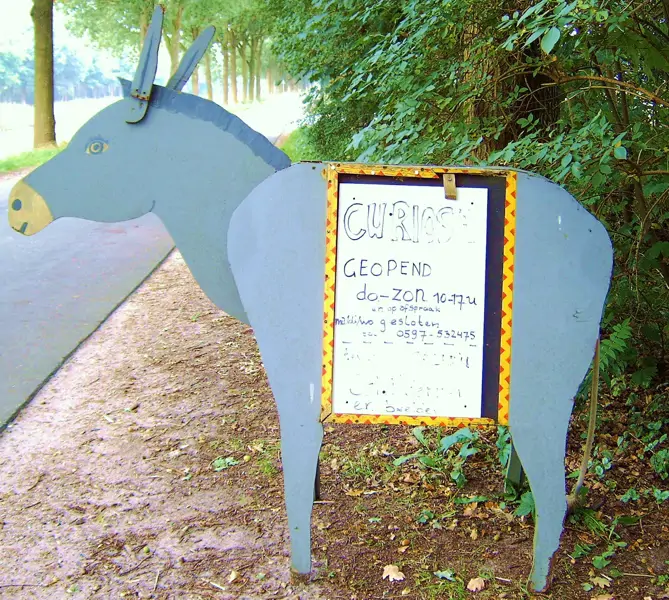 Allerlei / Galerie Artaban - Bellingwolde (10/12)