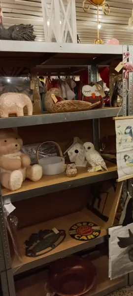 Bundelshop - Grootegast (8/17)