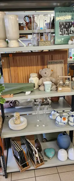 Carolina's Outlet - Breda (11/24)