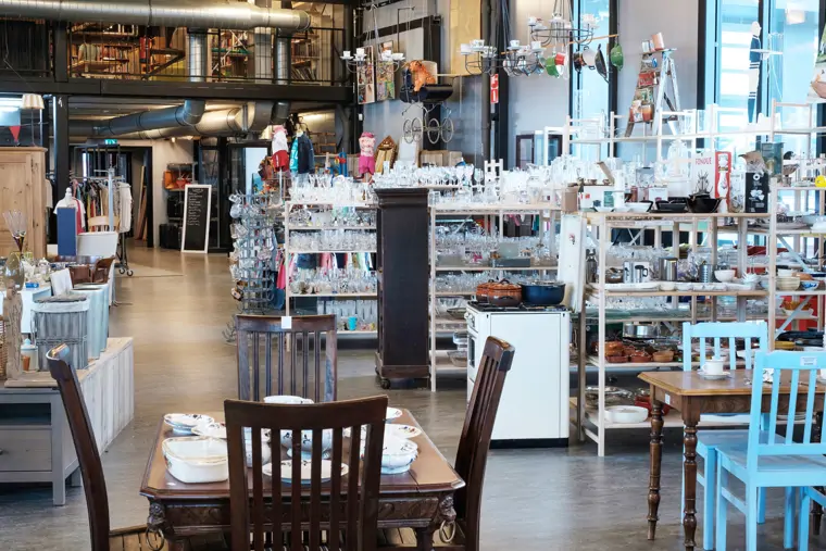 Foenix Kringloopwinkel en vintage plantstore
