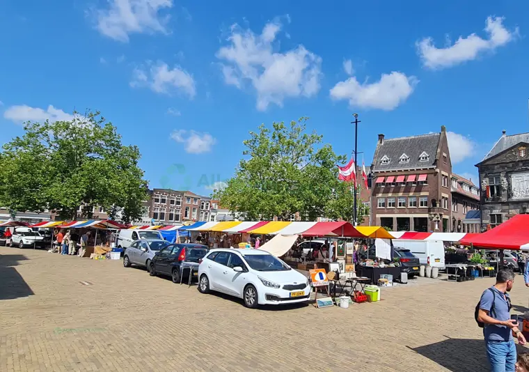 Gouda Curiosa