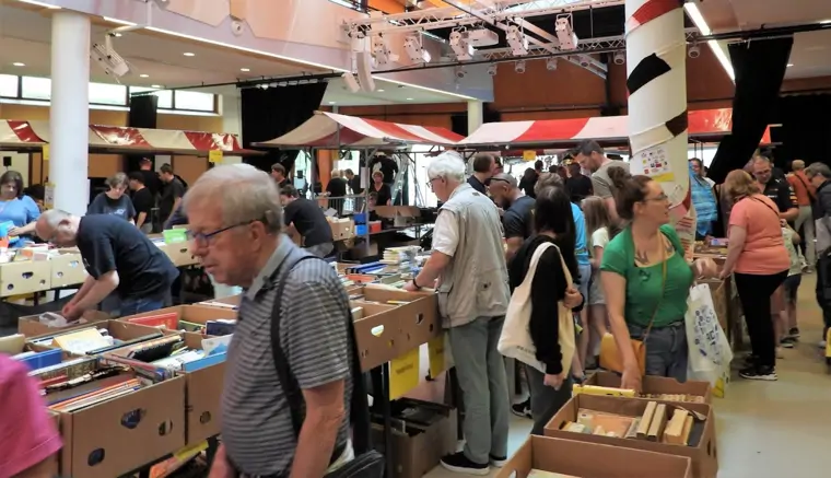 Grote Gestelse Vlooienmarkt - Sint Michielsgestel (5/6)
