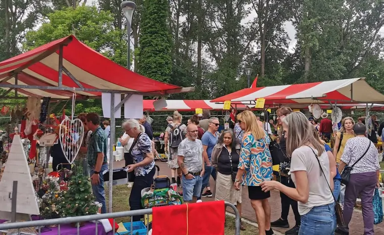 Grote Gestelse Vlooienmarkt - Sint Michielsgestel (2/6)