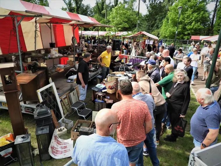 Grote Gestelse Vlooienmarkt - Sint Michielsgestel (4/6)