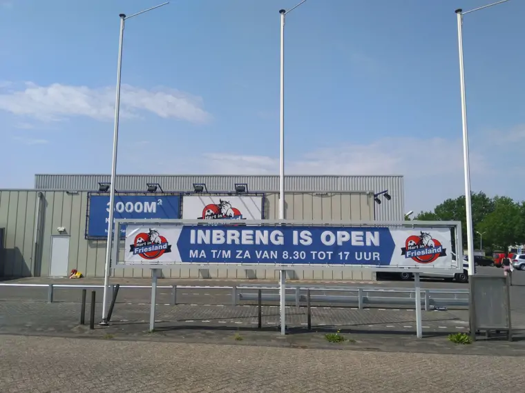 Hart in Friesland - Drachten (9/11)