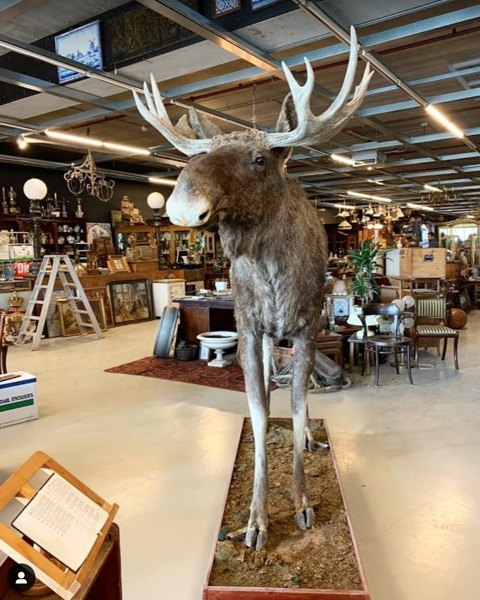 Kramer Antiek en Vintage - Wormerveer (4/4)