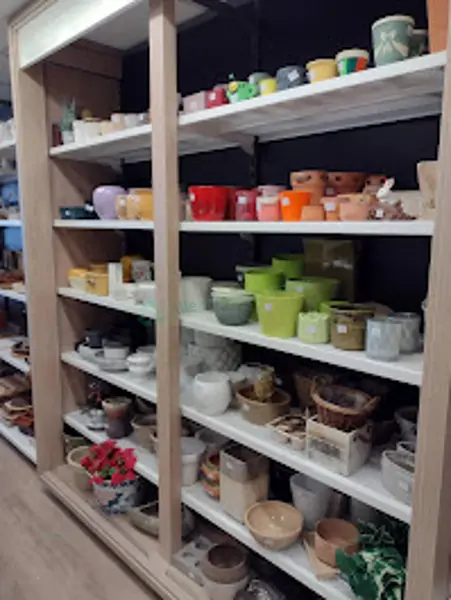 Kringwinkel Liedekerke (5/8)