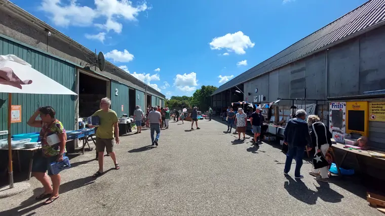 Rommelmarkt Den Hoorn Texel (8/9)
