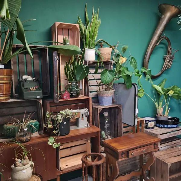 Schatkamer & Co - Ommen (2/5)