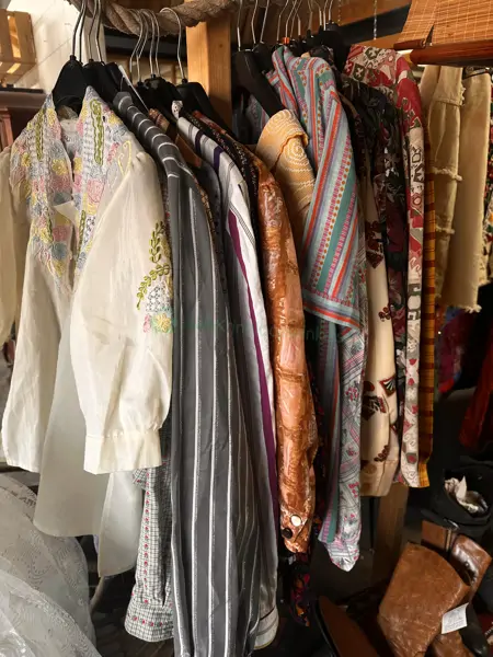Silverlionessvintage