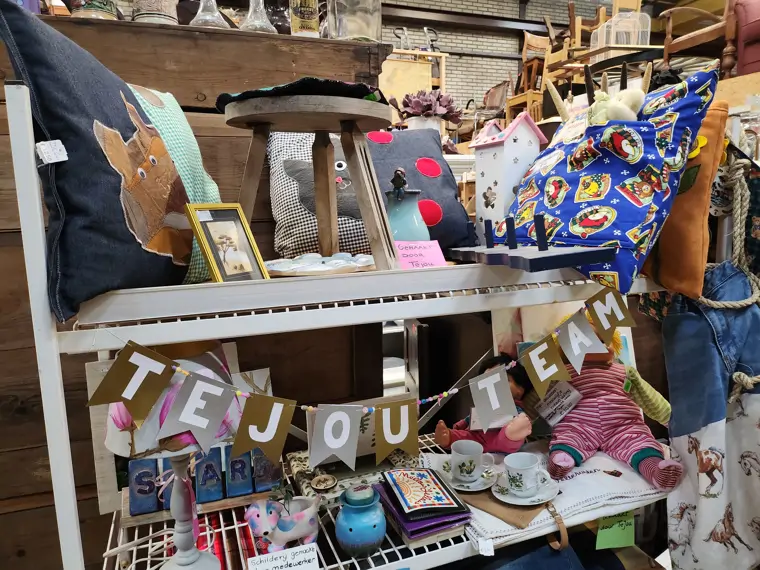 TeJou Kringloopwinkel en Dagbesteding - Bitgum (8/16)