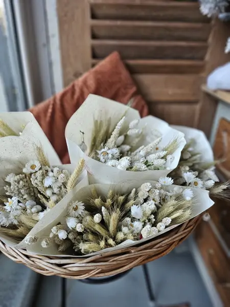 Brocantiosa - Lisse (13/24)