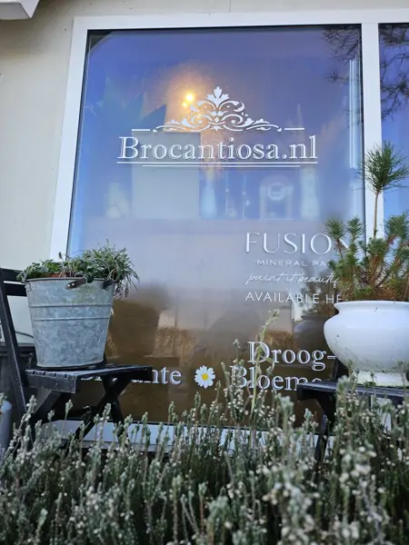 Brocantiosa - Lisse (7/24)