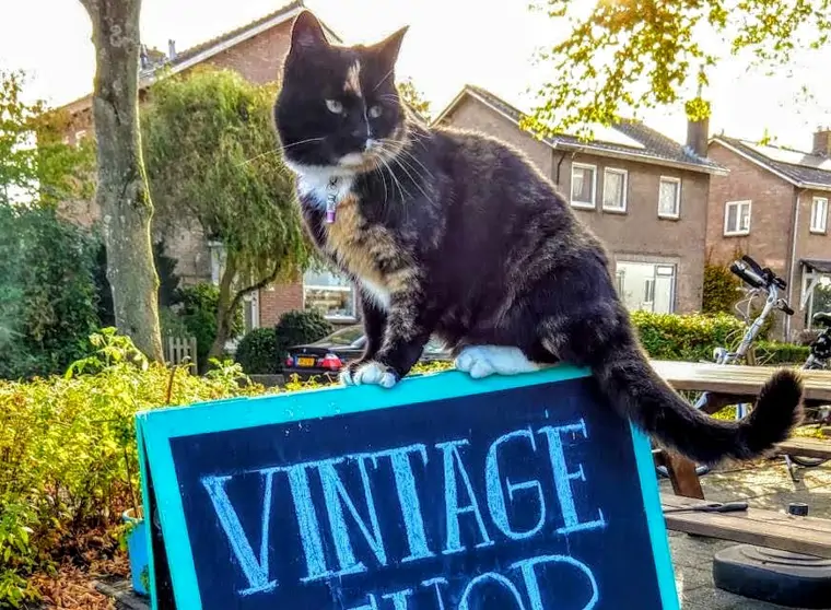 Vintageshop 2Thepoint - Leeuwarden (8/8)