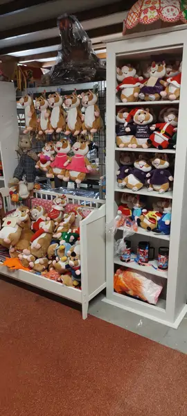 XXL Garagesale - Sprang-Capelle (12/24)